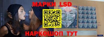 mdpv Краснознаменск