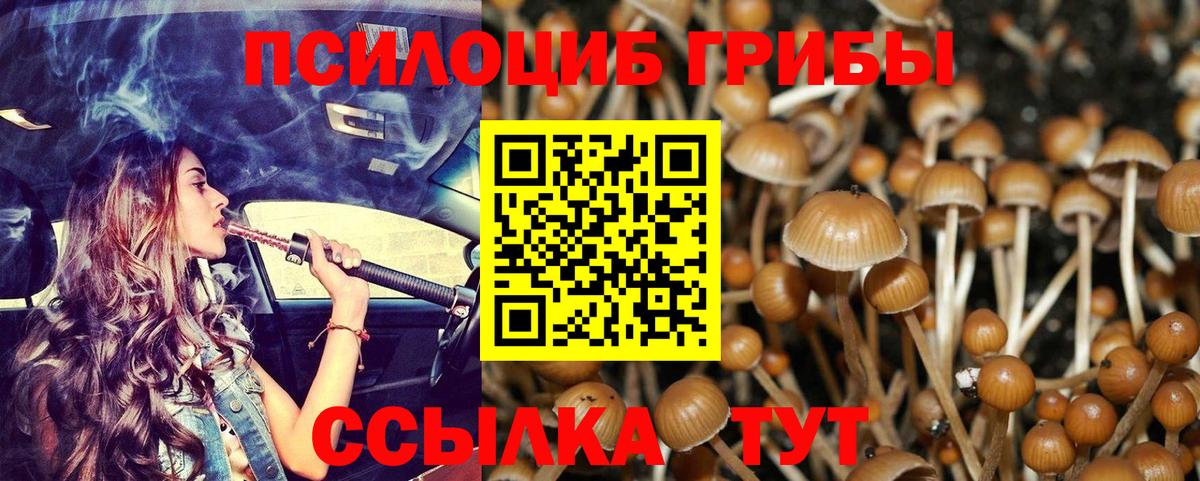 Карталы  Галлюциногенные грибы ЛСД  купить наркотики цена  Галлюциногенные грибы Psilocybine cubensis  Вход с VPN 
