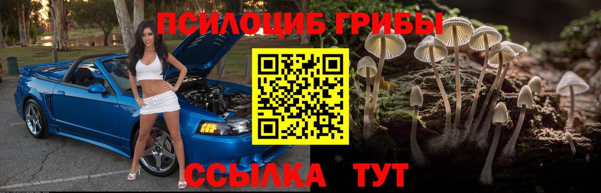 Псилоцибиновые грибы мицелий Карталы